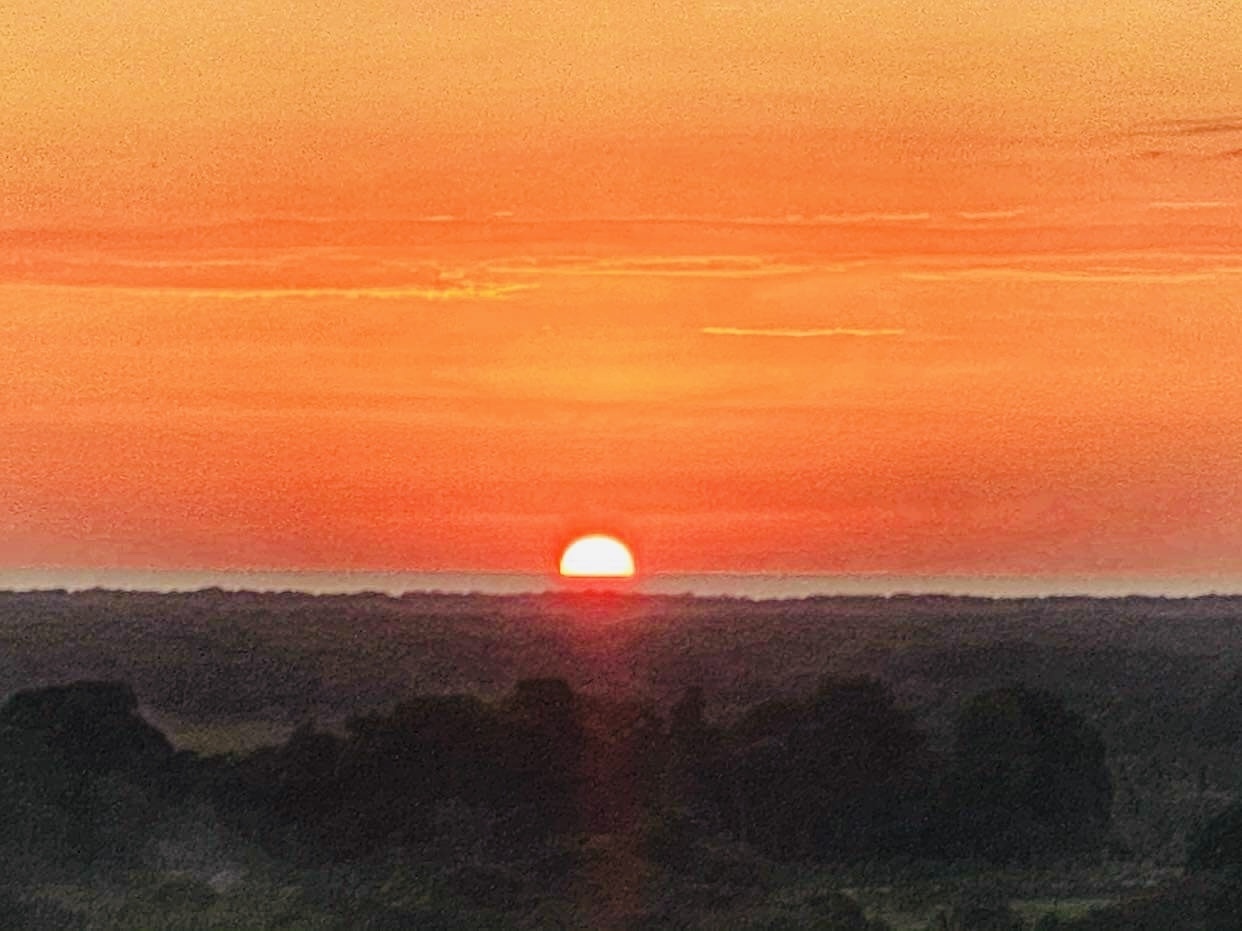 Photo 7-3-21, 5 50 47 PM