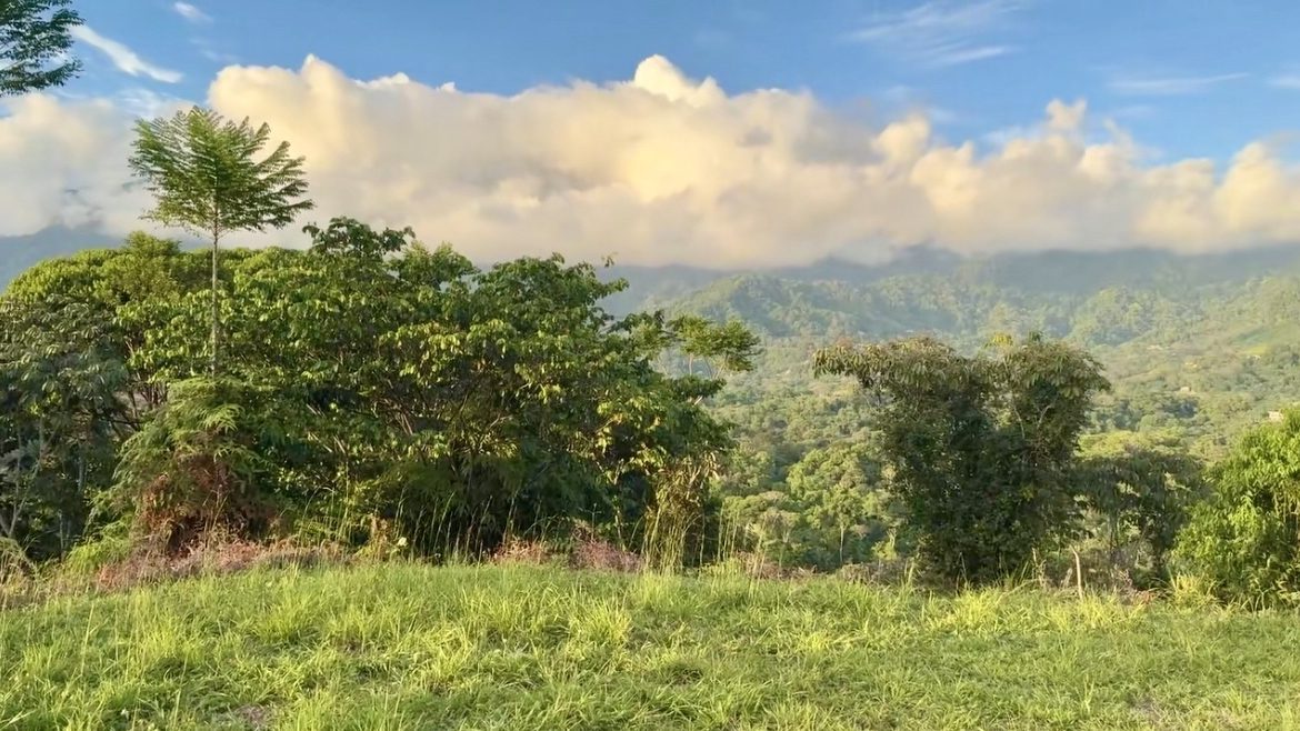 MOUNTAIN PROPERTY WITH OCEAN VIEWS AND SUNSET, IN OJOCHAL – 1.92 ACRES