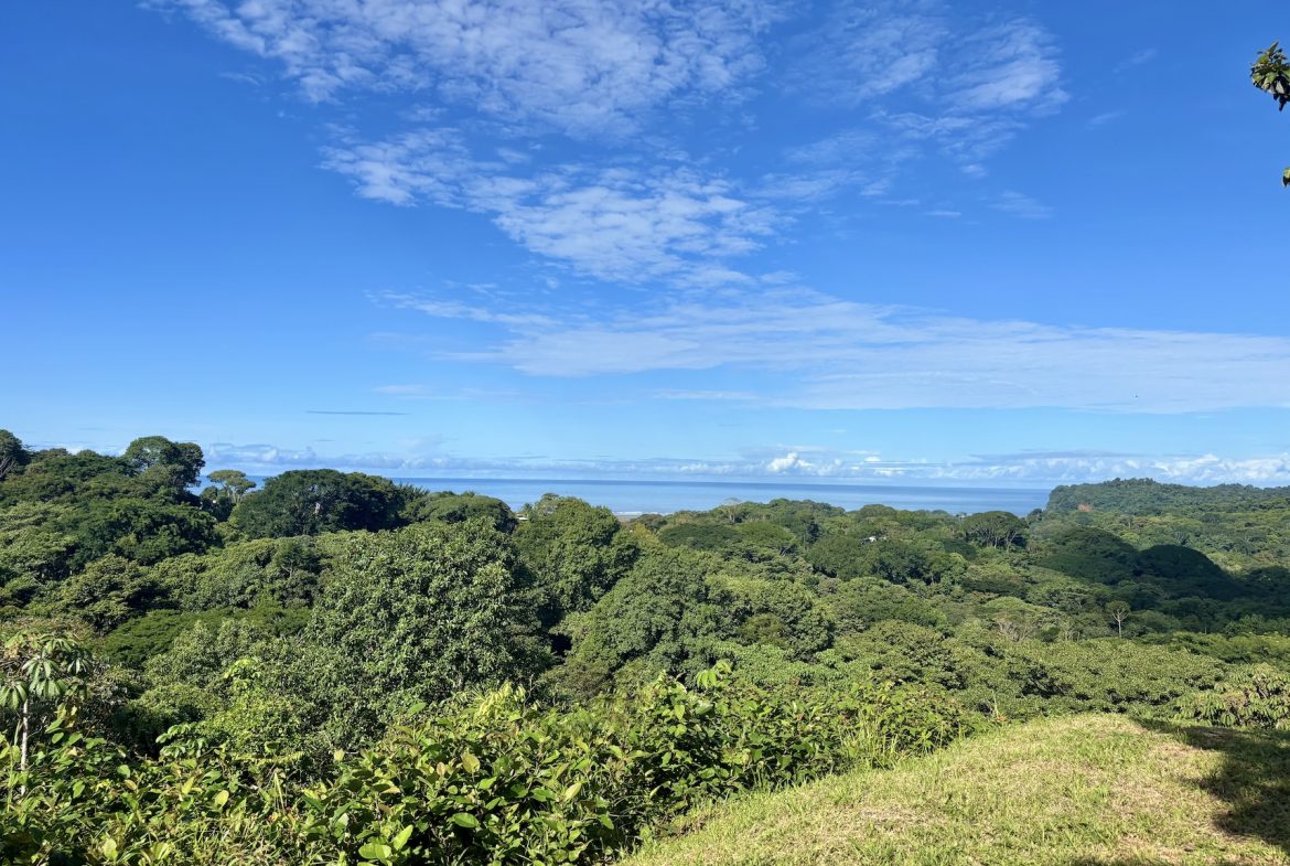 PROPERTY WITH OCEAN VIEWS AND SUNSET, IN OJOCHAL – 3.40 ACRES