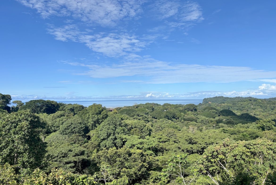 PROPERTY WITH OCEAN VIEWS AND SUNSET, IN OJOCHAL – 3.40 ACRES