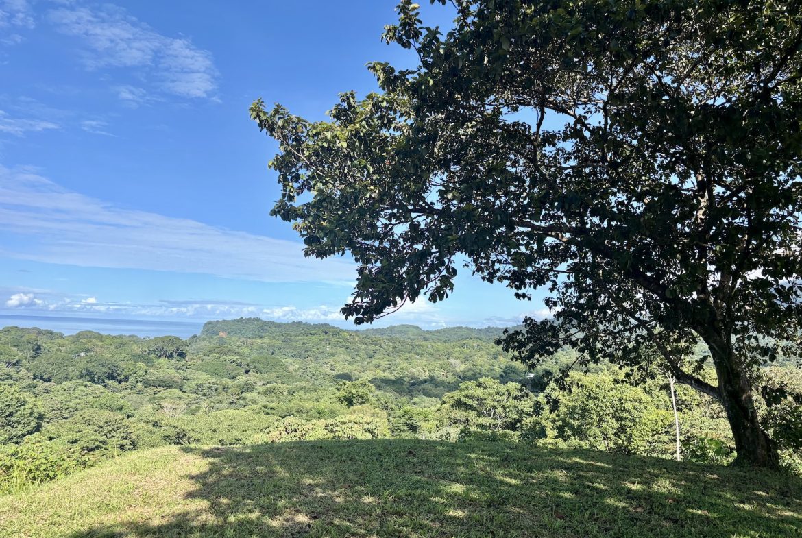 PROPERTY WITH OCEAN VIEWS AND SUNSET, IN OJOCHAL – 3.40 ACRES