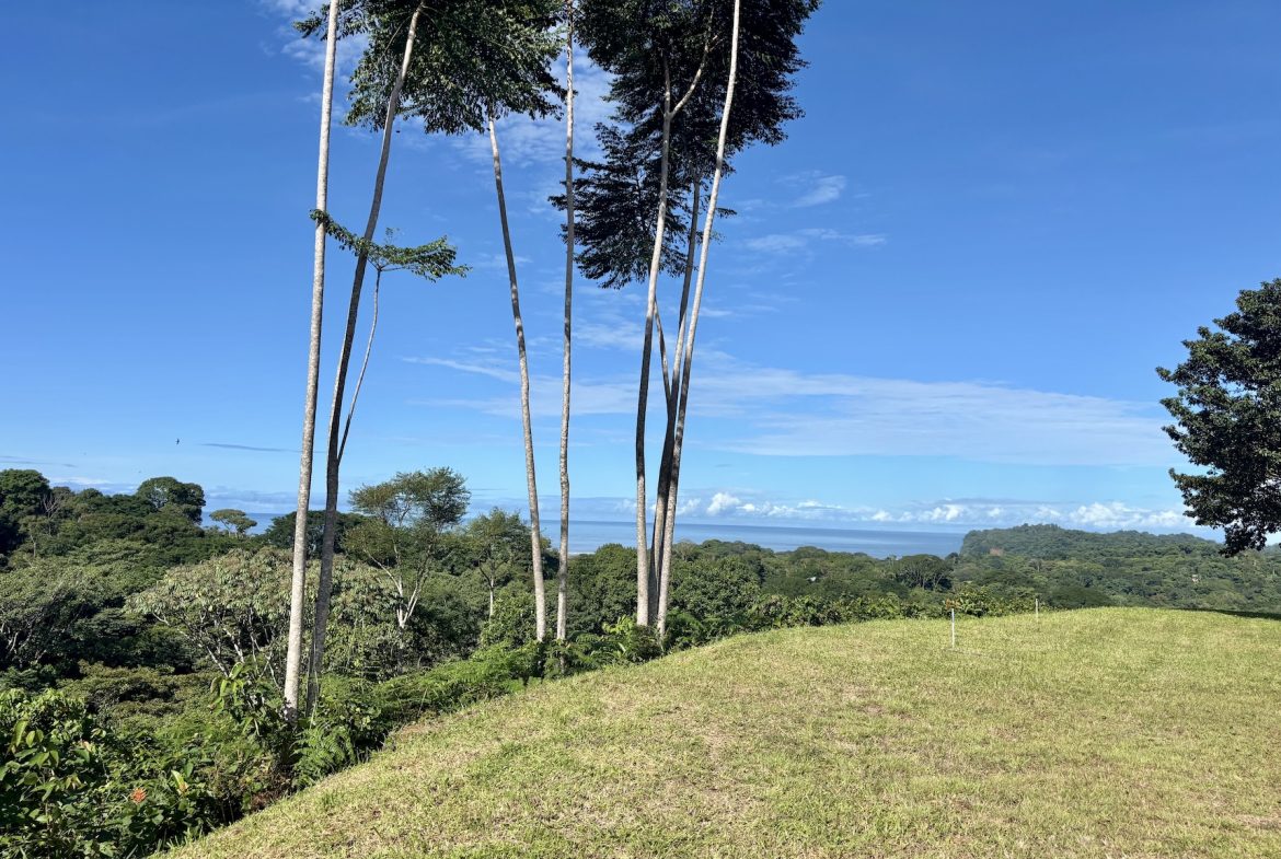 PROPERTY WITH OCEAN VIEWS AND SUNSET, IN OJOCHAL – 3.40 ACRES
