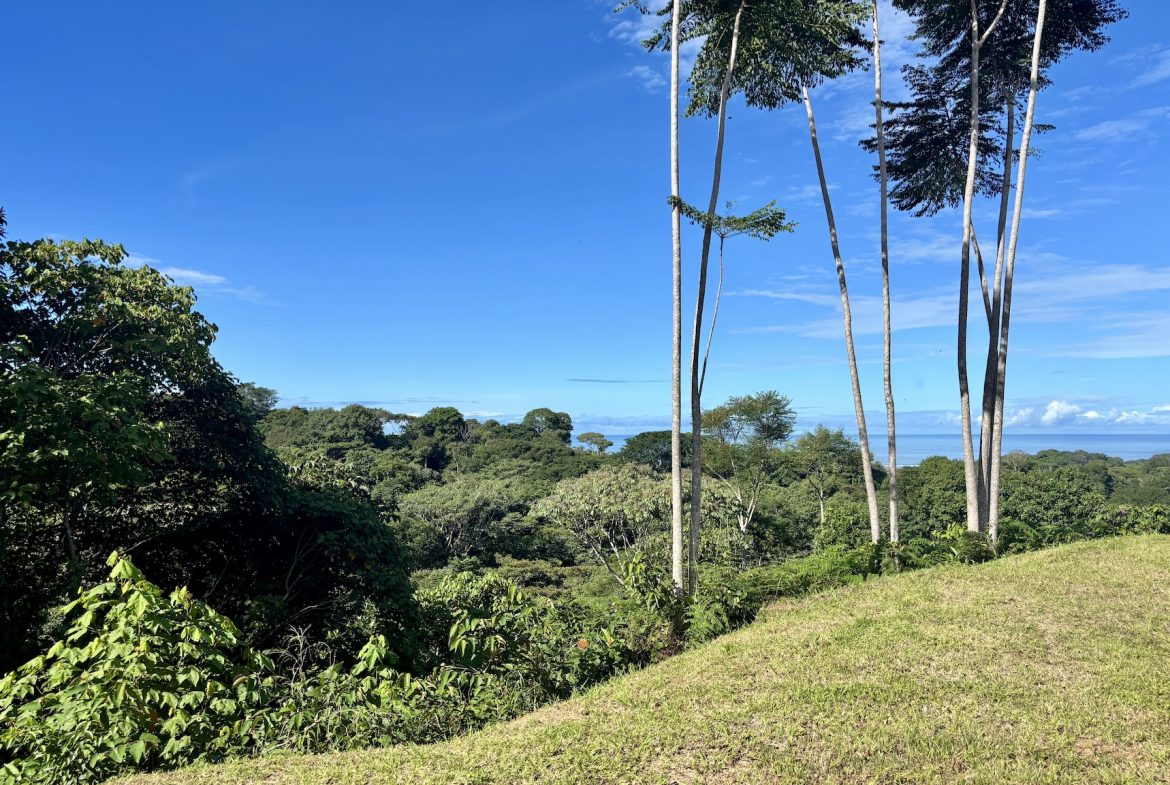 PROPERTY WITH OCEAN VIEWS AND SUNSET, IN OJOCHAL – 3.40 ACRES