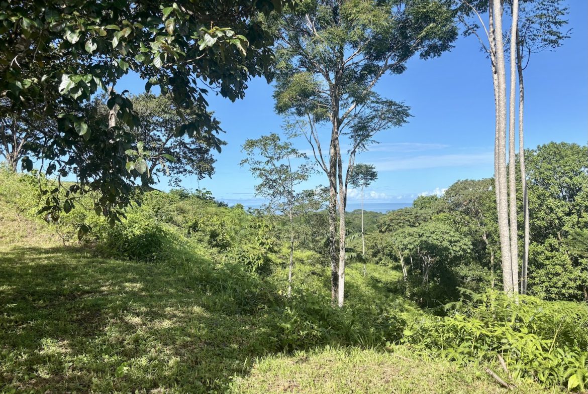 MOUNTAIN PROPERTY WITH OCEAN VIEWS AND SUNSET, IN OJOCHAL – 1.92 ACRES