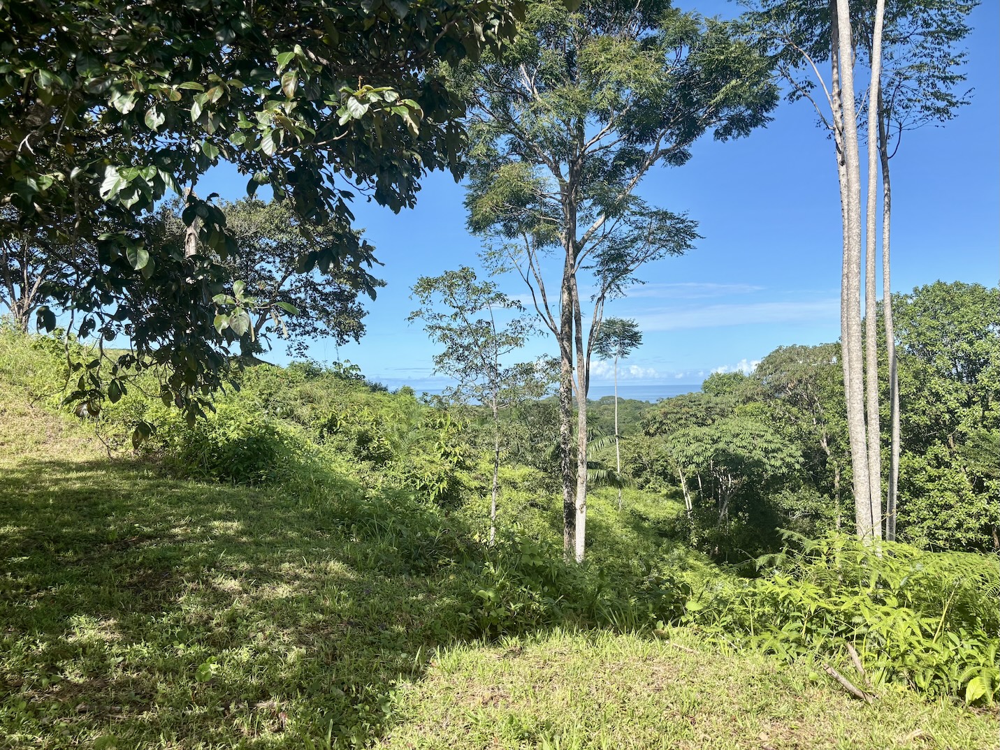 Photo Oct 18 2025, 8 23 36 AM