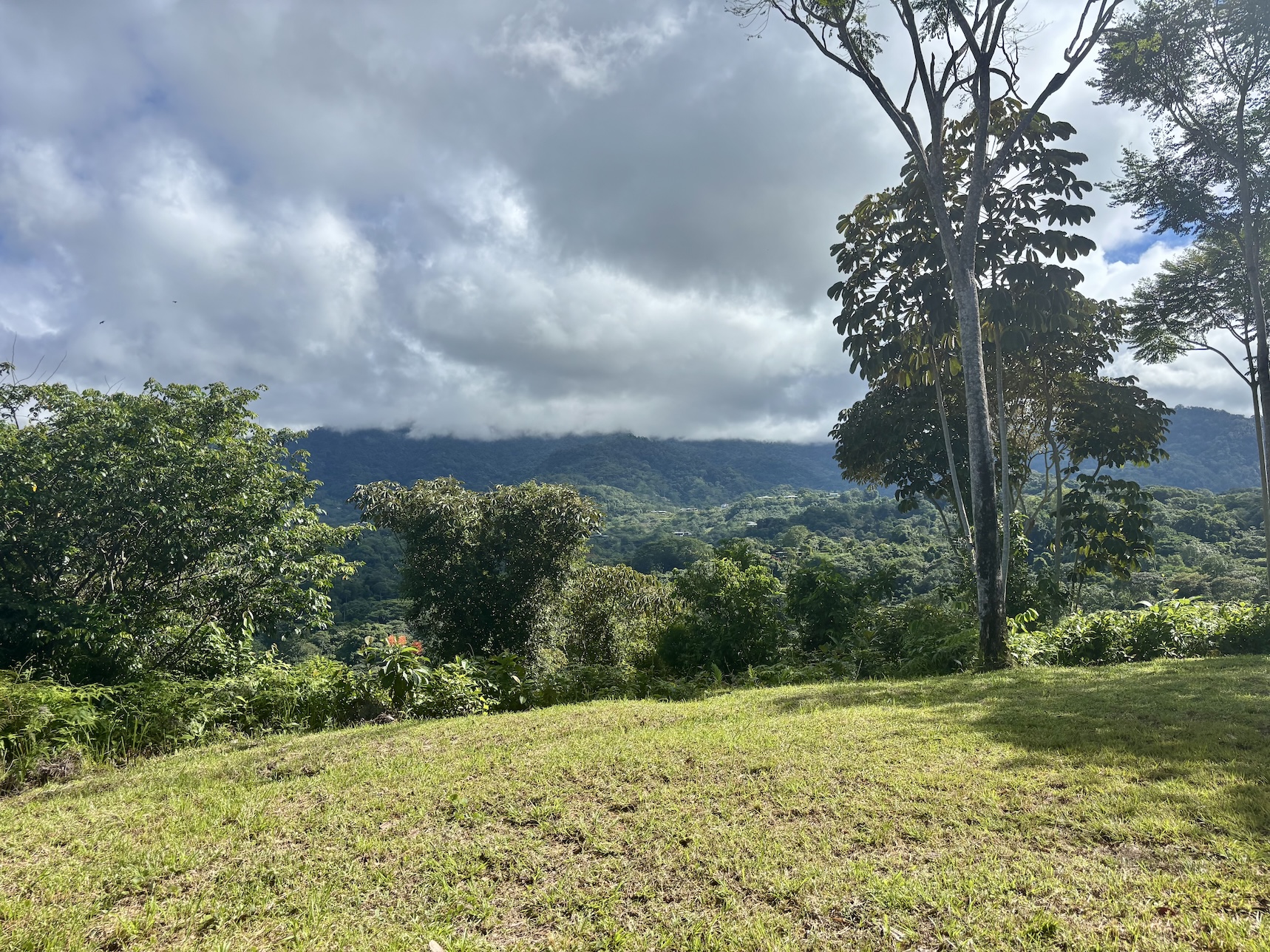 Photo Oct 18 2025, 8 23 48 AM