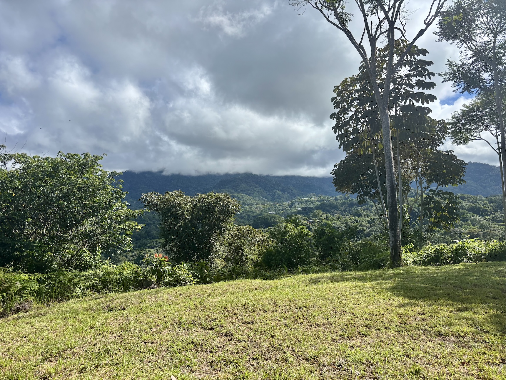 Photo Oct 18 2025, 8 23 48 AM