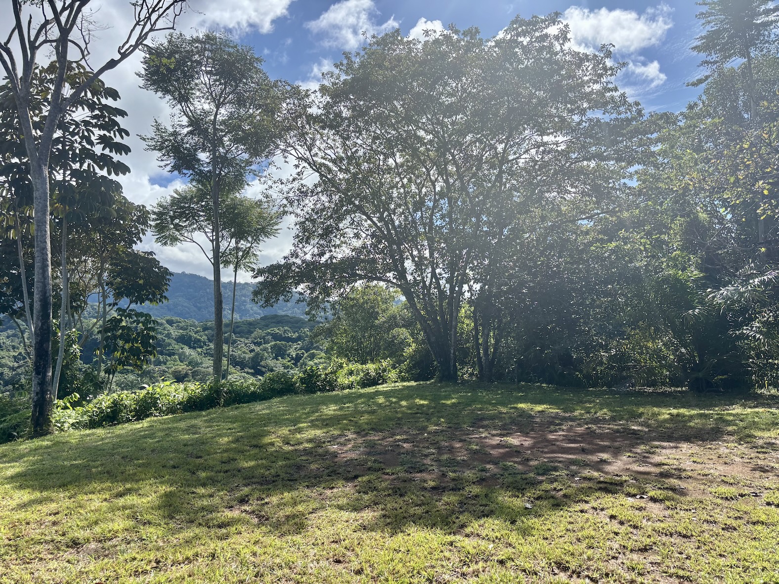 Photo Oct 18 2025, 8 23 52 AM