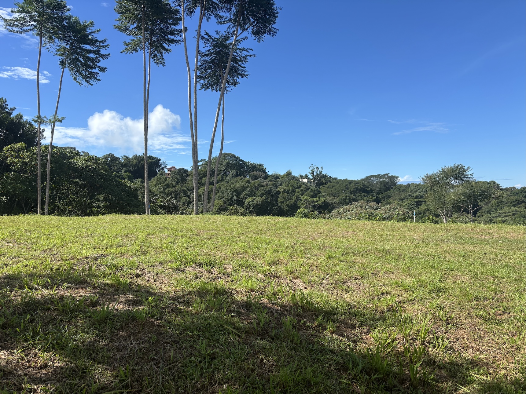 Photo Oct 18 2025, 8 25 44 AM