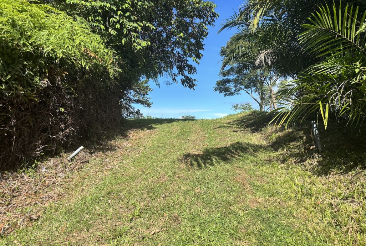 MOUNTAIN PROPERTY WITH OCEAN VIEWS AND SUNSET, IN OJOCHAL – 1.92 ACRES