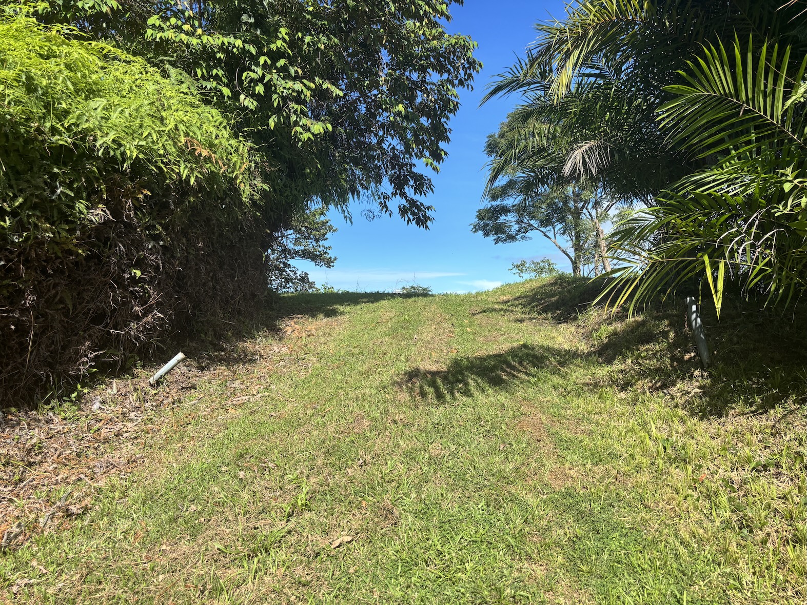 Photo Oct 18 2025, 8 29 08 AM