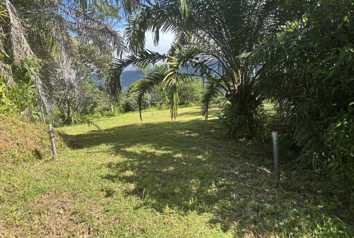 MOUNTAIN PROPERTY WITH OCEAN VIEWS AND SUNSET, IN OJOCHAL – 1.92 ACRES