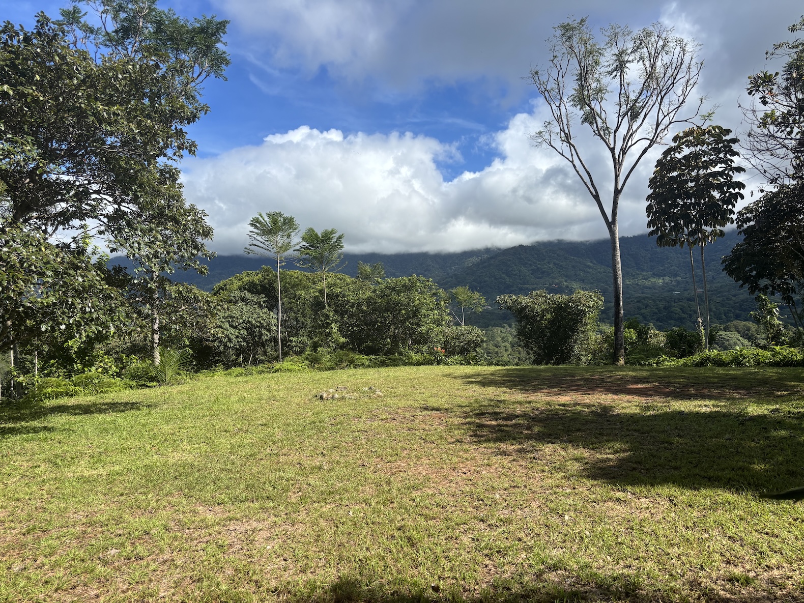 Photo Oct 18 2025, 8 29 55 AM