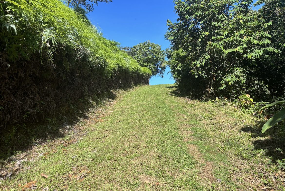 TWO EXCLUSIVE LOTS WITH PANORAMIC OCEAN AND SUNSET VIEWS, IN OJOCHAL – 5.32 ACRES