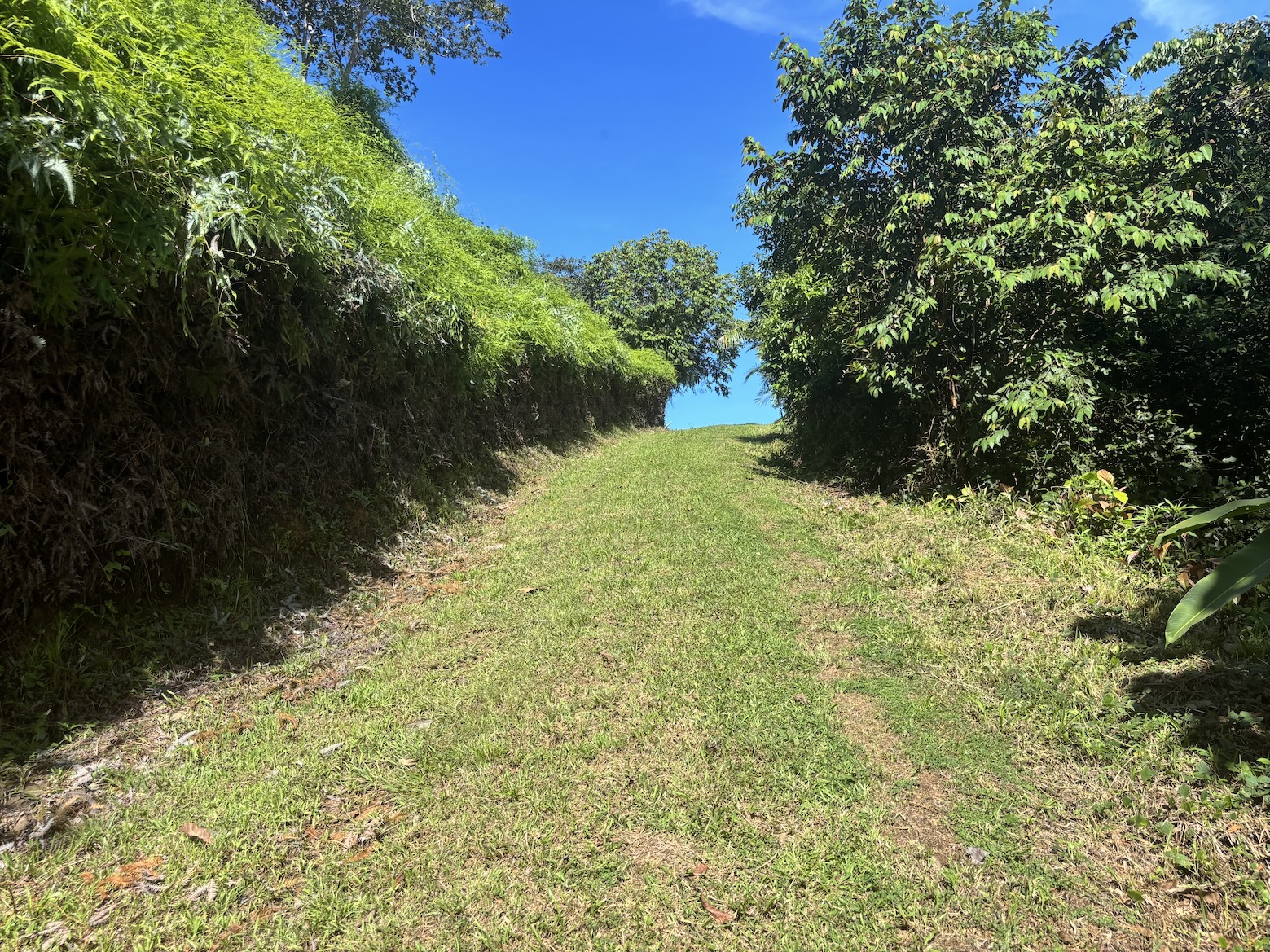 Photo Oct 18 2025, 8 30 44 AM