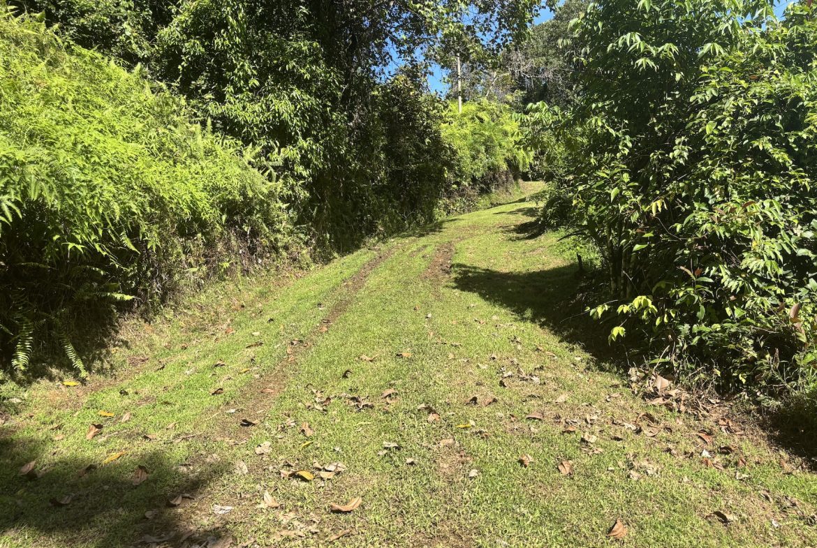 PROPERTY WITH OCEAN VIEWS AND SUNSET, IN OJOCHAL – 3.40 ACRES