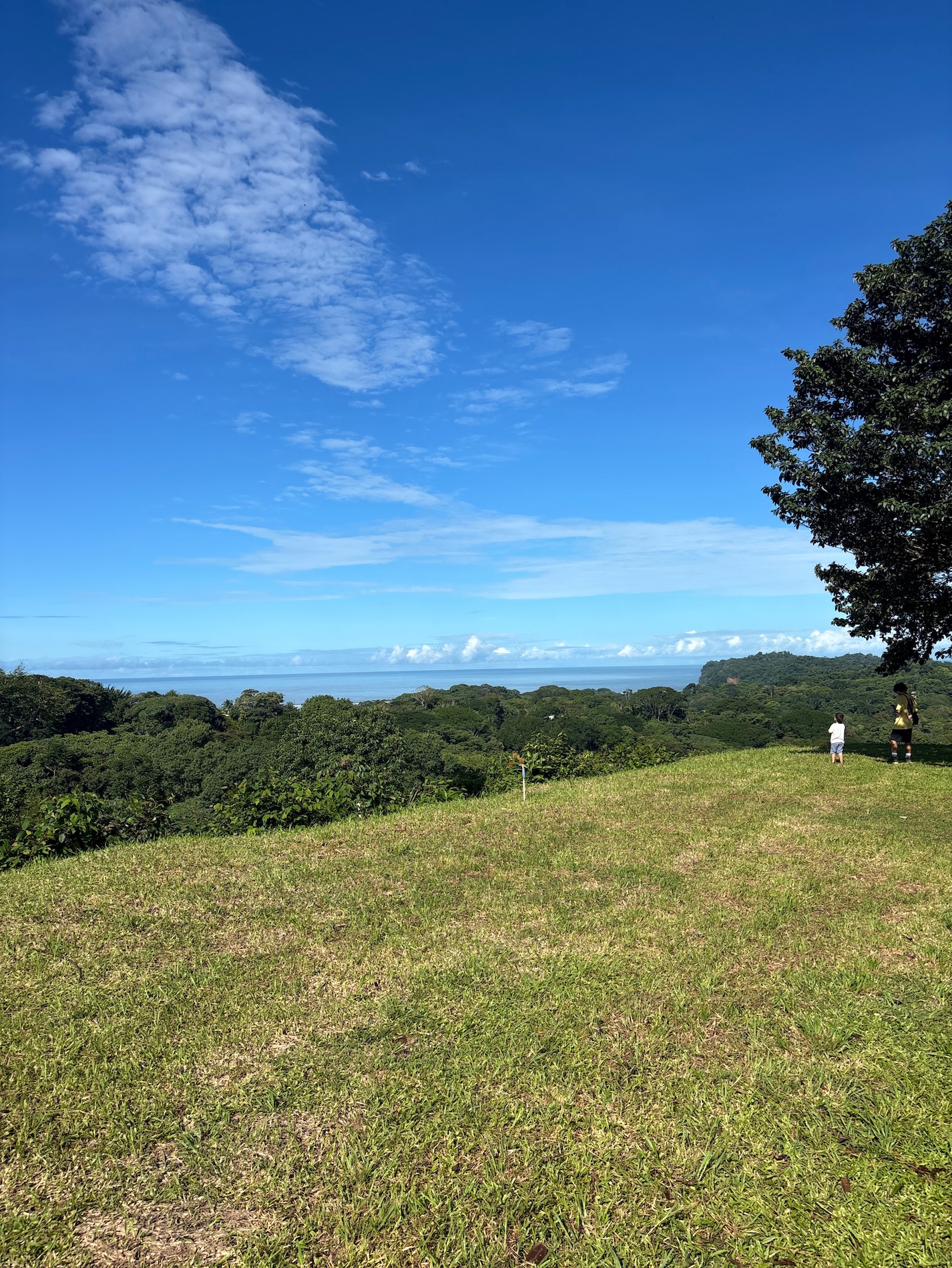 Photo Oct 24 2025, 1 27 20 PM