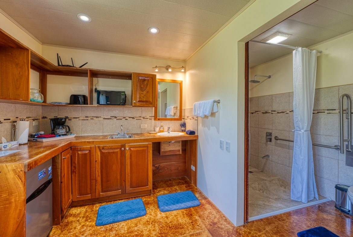 HOTEL PROPERTY WITH EIGHT BEDROOMS IN THE MOUNTAINS, IN TRES RIOS – 5.03 ACRES