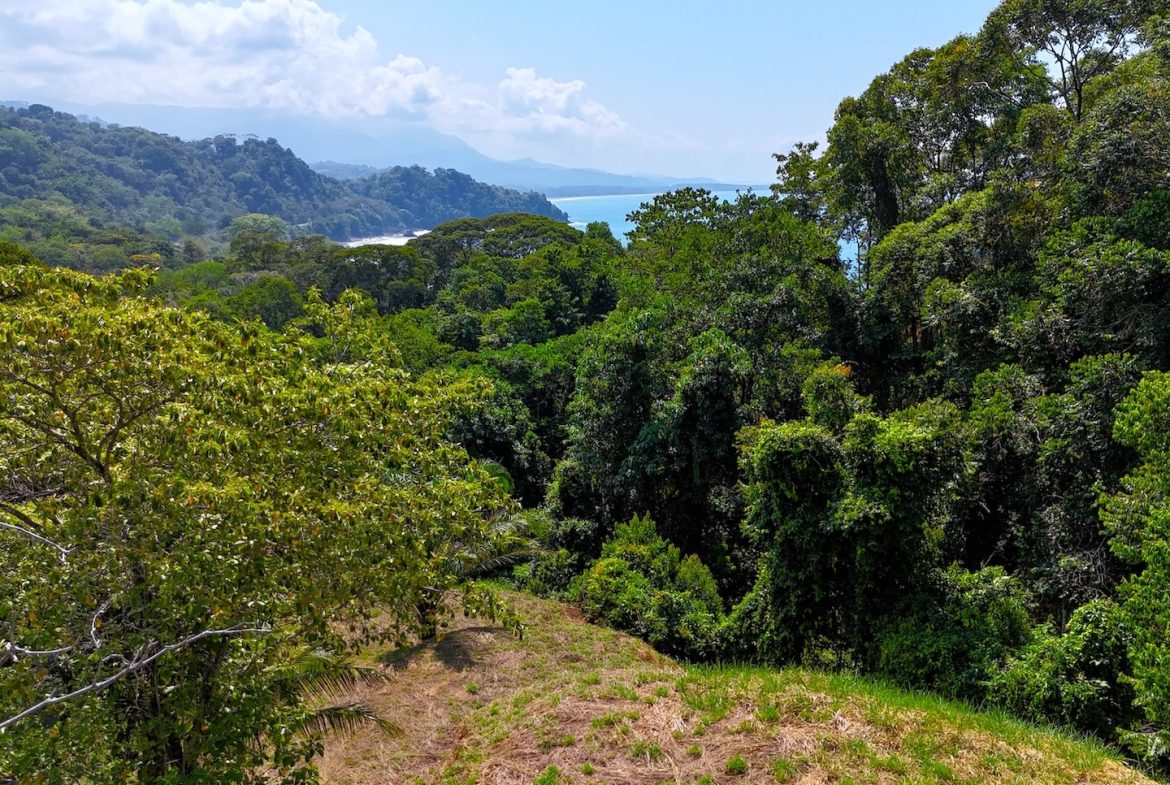 BUILDING PROPERTY WITH OCEAN VIEWS, IN PUERTO NUEVO – 2.22 ACRES
