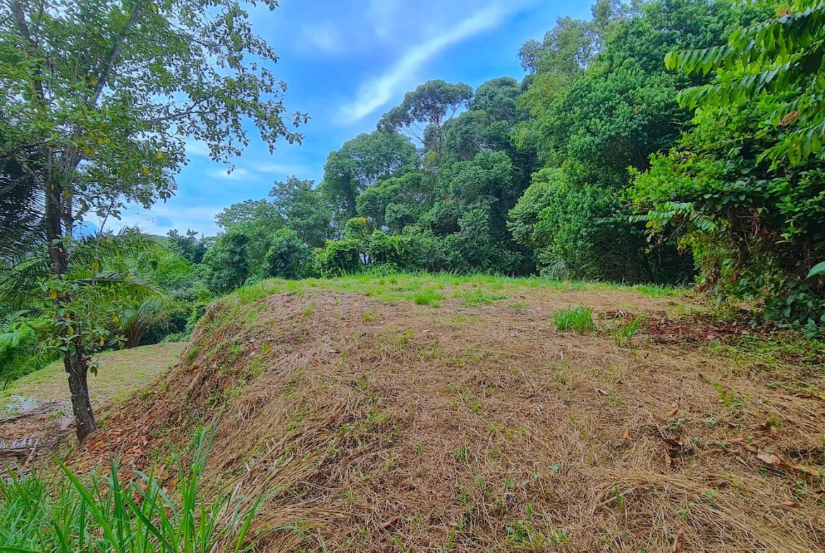 BUILDING PROPERTY WITH OCEAN VIEWS, IN PUERTO NUEVO – 2.22 ACRES