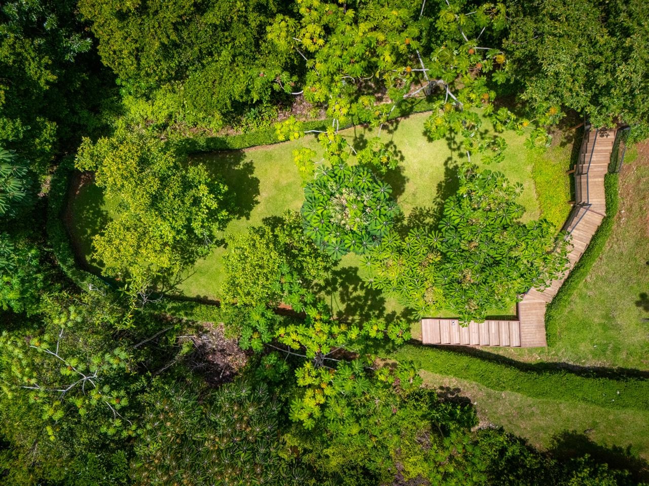 WhatsApp Image 2025-06-03 at 8.12.22 AM