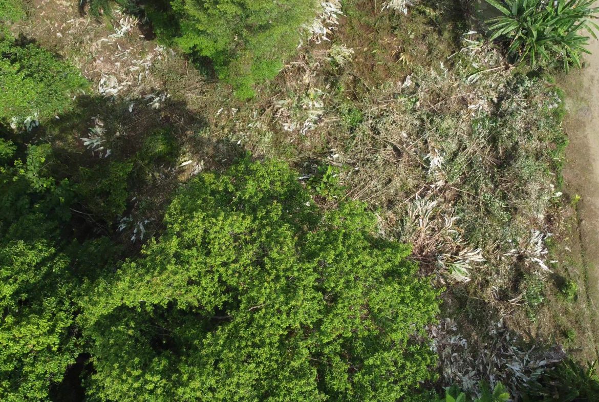 JUNGLE BUILDING PROPERTY WITH  PUBLIC ROAD IN FRONT, IN CINCO VENTANAS – 0.99 ACRES
