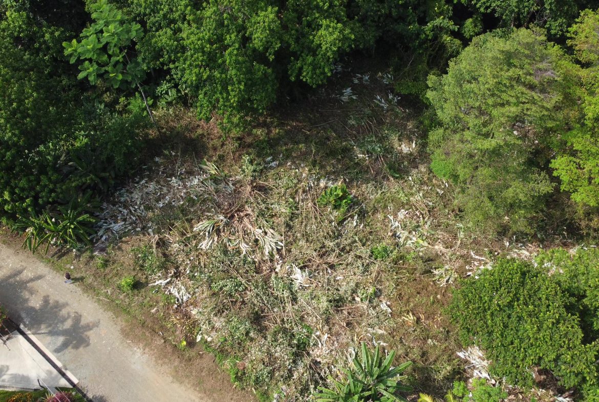 JUNGLE BUILDING PROPERTY WITH  PUBLIC ROAD IN FRONT, IN CINCO VENTANAS – 0.99 ACRES