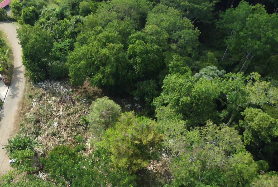 JUNGLE BUILDING PROPERTY WITH  PUBLIC ROAD IN FRONT, IN CINCO VENTANAS – 0.99 ACRES