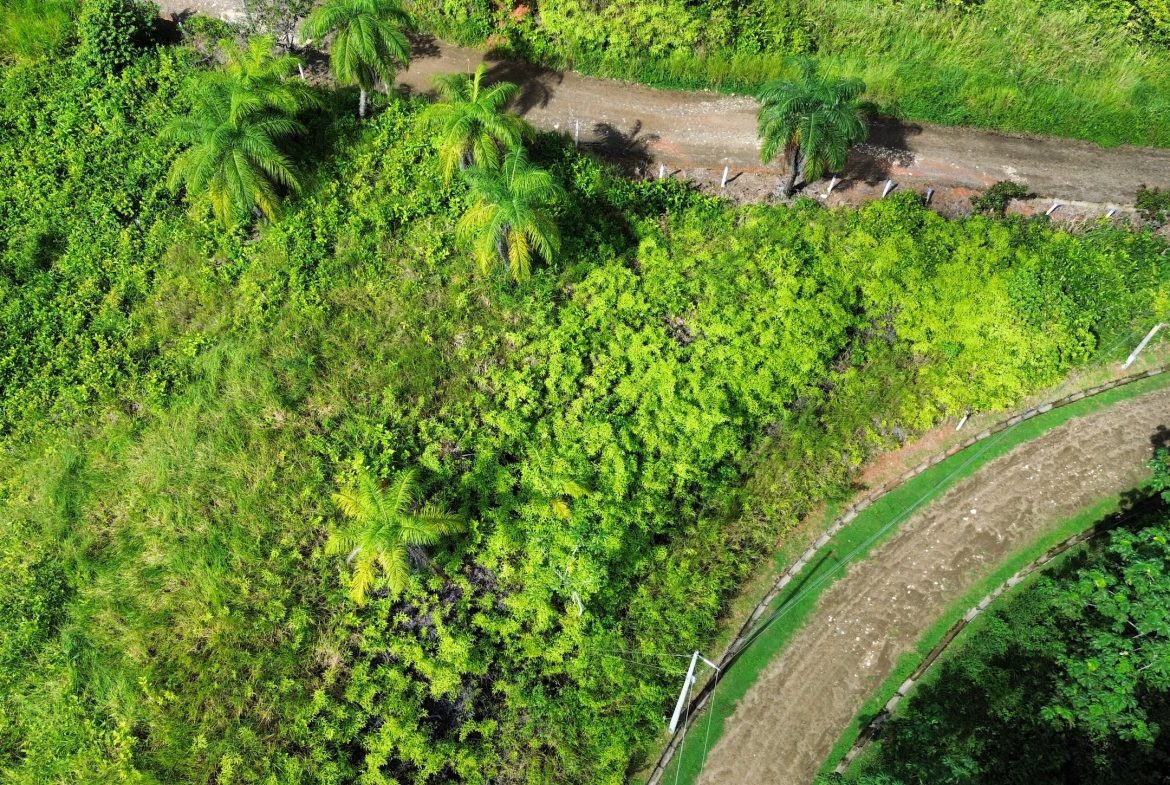 BUILDING PROPERTY IN A GATED COMMUNITY, IN CHONTALES – 0.31 ACRES