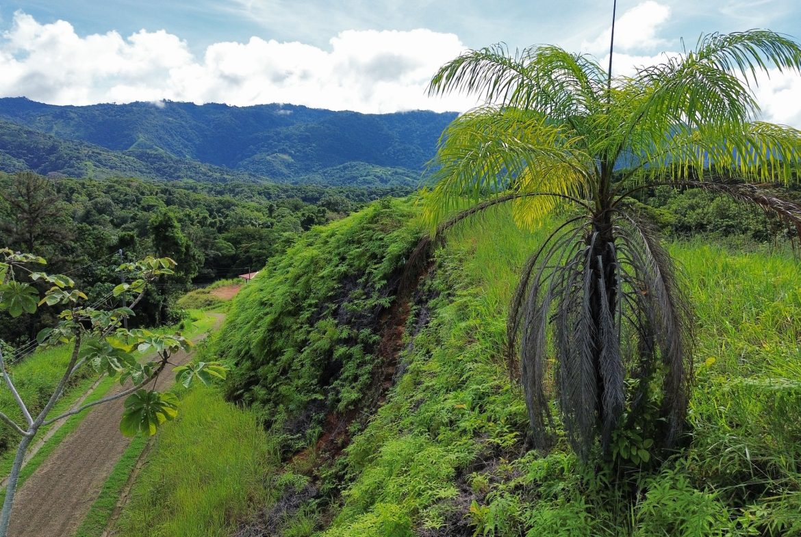 BUILDING PROPERTY IN A GATED COMMUNITY, IN CHONTALES – 0.31 ACRES