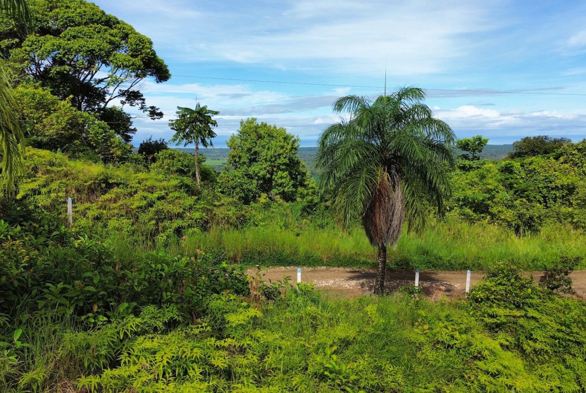 BUILDING PROPERTY IN A GATED COMMUNITY, IN CHONTALES – 0.31 ACRES