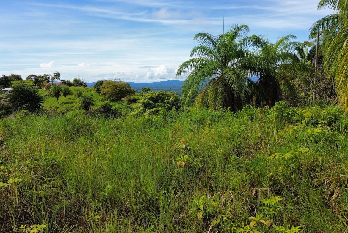 BUILDING PROPERTY IN A GATED COMMUNITY, IN CHONTALES – 0.31 ACRES