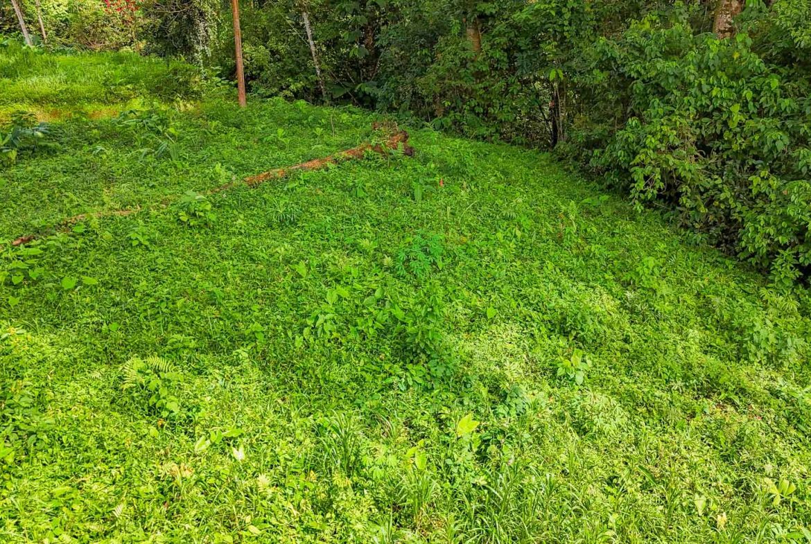 BUILDING PROPERTY IN A GATED COMMUNITY, IN OJOCHAL – 0.13 ACRES