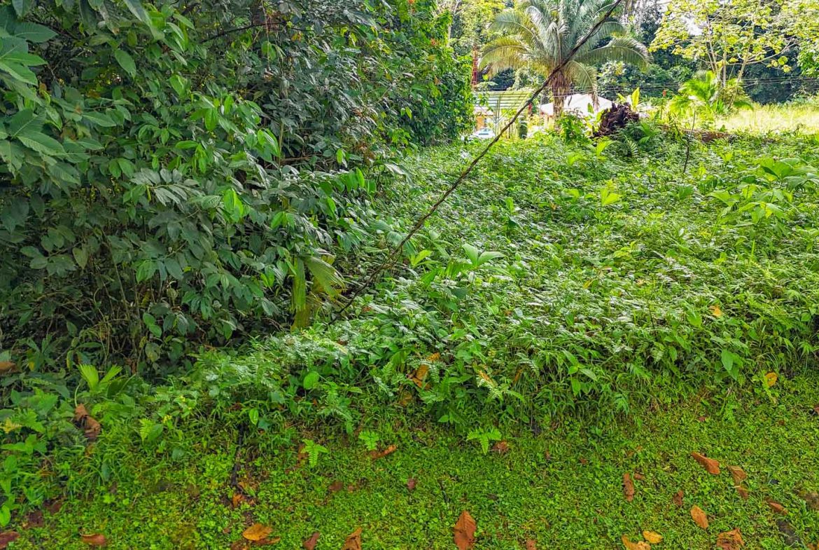 BUILDING PROPERTY IN A GATED COMMUNITY, IN OJOCHAL – 0.13 ACRES