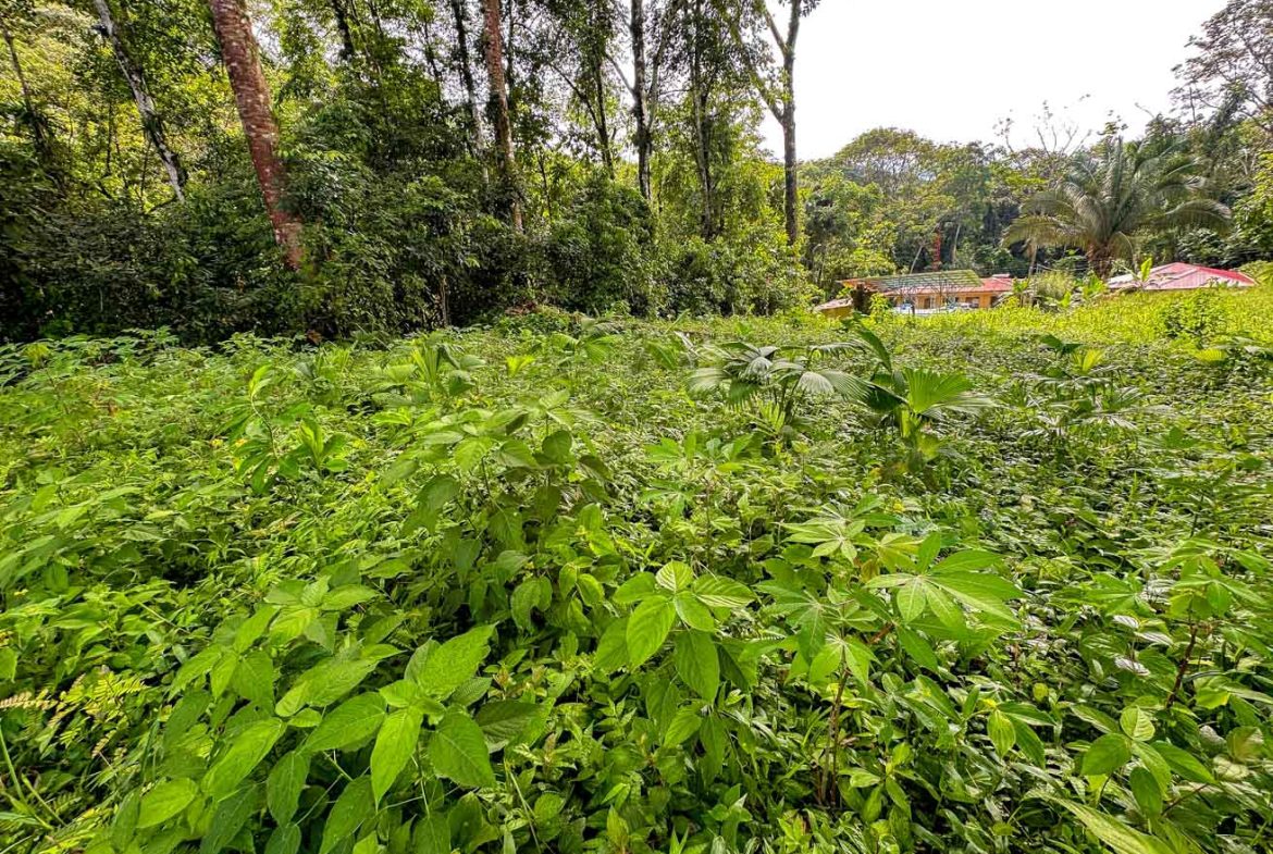 BUILDING PROPERTY IN A GATED COMMUNITY, IN OJOCHAL – 0.13 ACRES