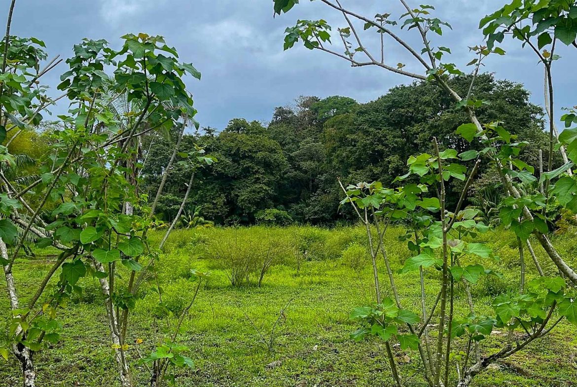 BUILDING PROPERTY WITH STEPS OF THE BEACH, IN LA COLONIA – 2.47 ACRES