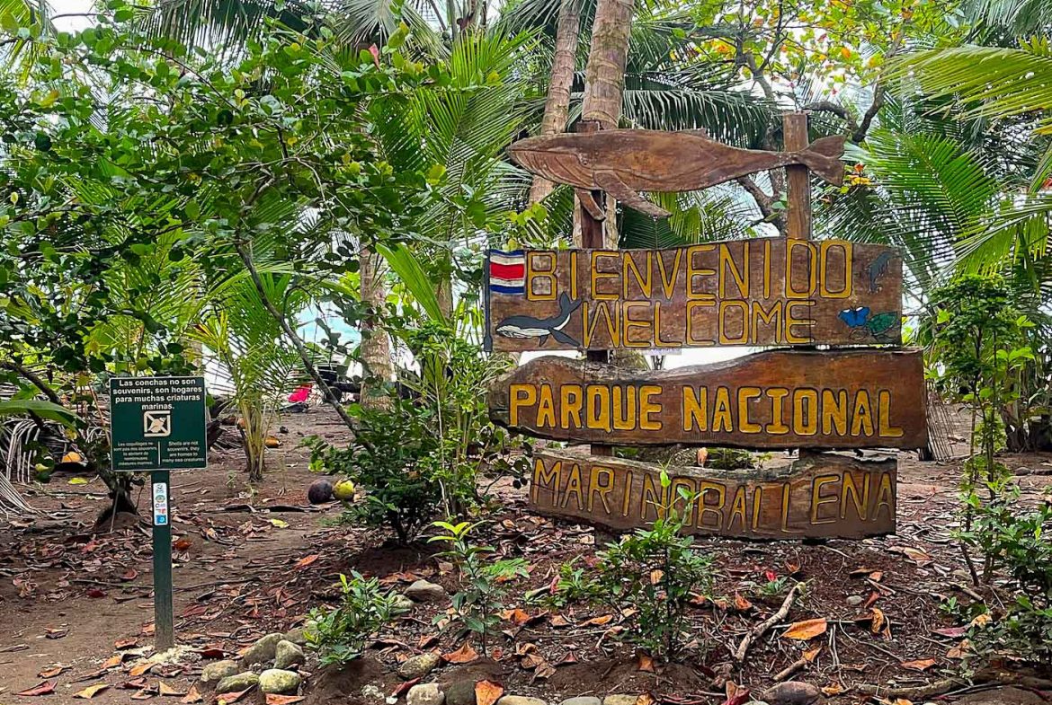 BUILDING PROPERTY WITH STEPS OF THE BEACH, IN LA COLONIA – 2.47 ACRES