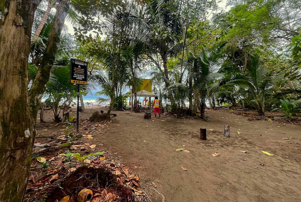 BUILDING PROPERTY WITH STEPS OF THE BEACH, IN LA COLONIA – 2.47 ACRES