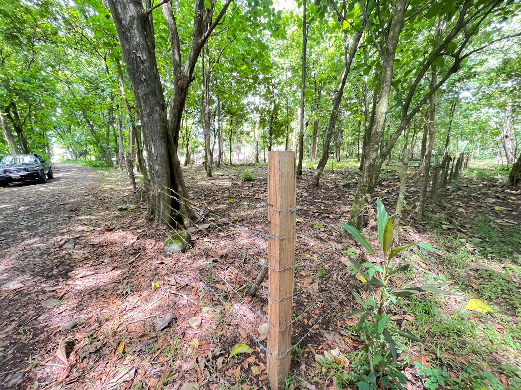 13707536-95f5-44f7-b905-4a7a2d83dc62