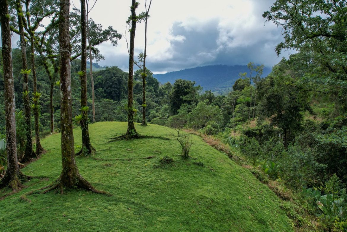 BUILDING PROPERTY A STEPS OF THE RIVER WITH MOUNTAINS VIEWS, IN DOS BOCAS – 11 ACRES