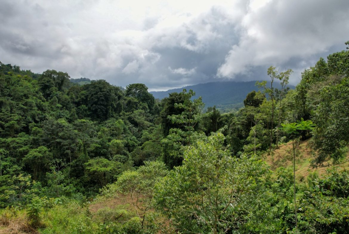 BUILDING PROPERTY A STEPS OF THE RIVER WITH MOUNTAINS VIEWS, IN DOS BOCAS – 11 ACRES