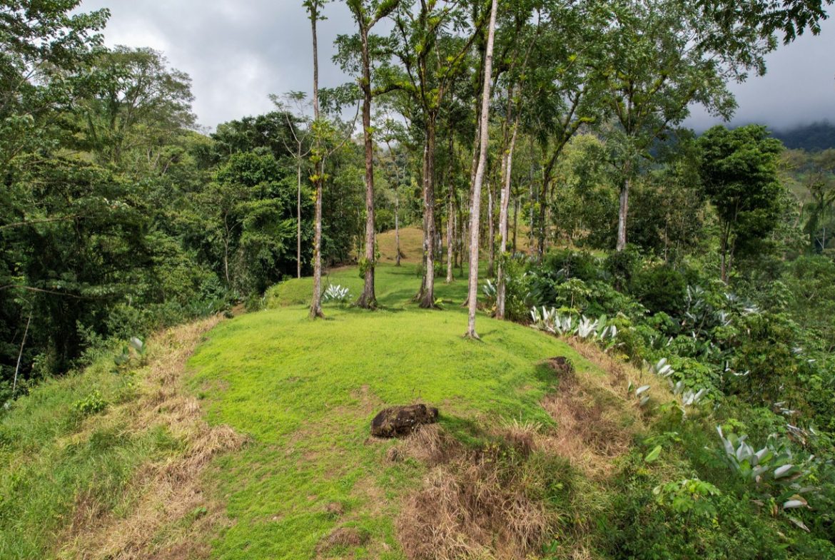 BUILDING PROPERTY A STEPS OF THE RIVER WITH MOUNTAINS VIEWS, IN DOS BOCAS – 11 ACRES