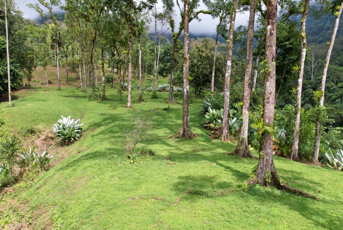 BUILDING PROPERTY A STEPS OF THE RIVER WITH MOUNTAINS VIEWS, IN DOS BOCAS – 11 ACRES