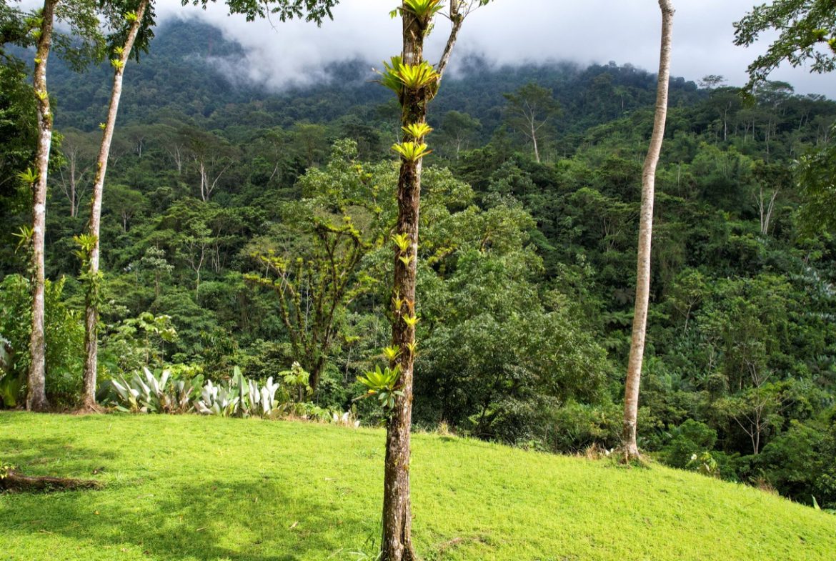 BUILDING PROPERTY A STEPS OF THE RIVER WITH MOUNTAINS VIEWS, IN DOS BOCAS – 11 ACRES