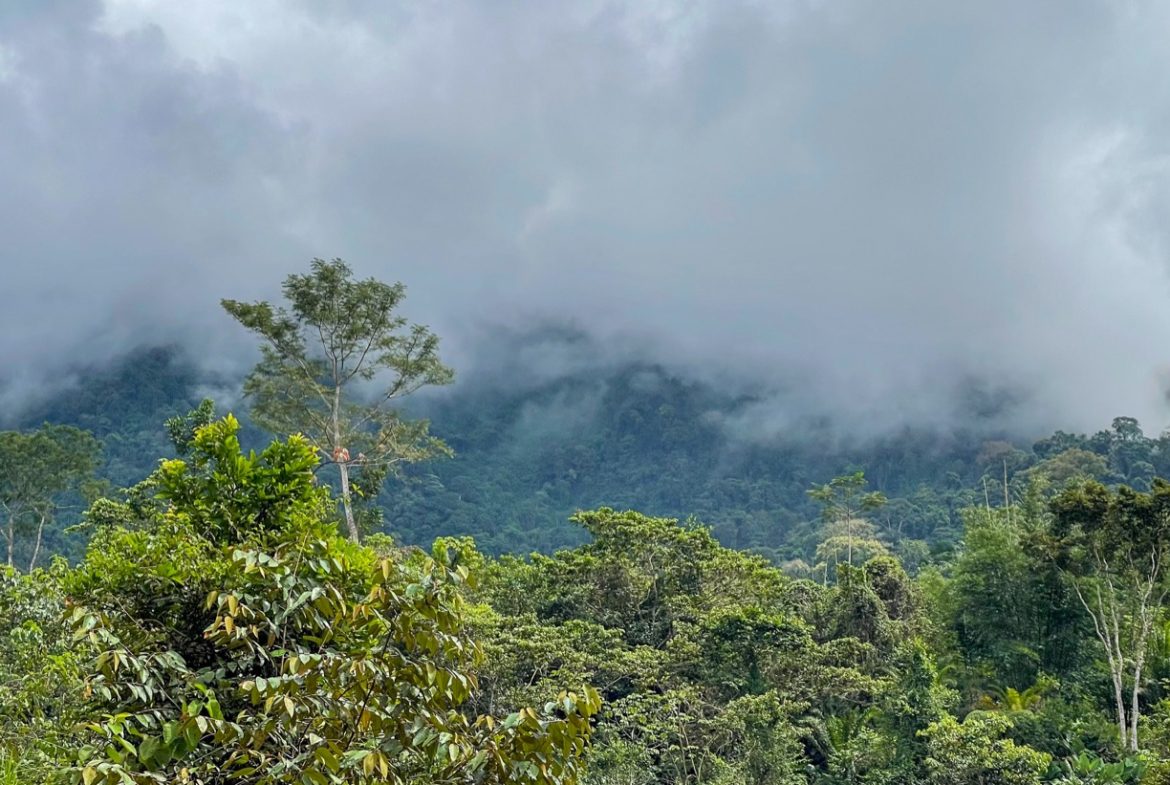 BUILDING PROPERTY A STEPS OF THE RIVER WITH MOUNTAINS VIEWS, IN DOS BOCAS – 11 ACRES