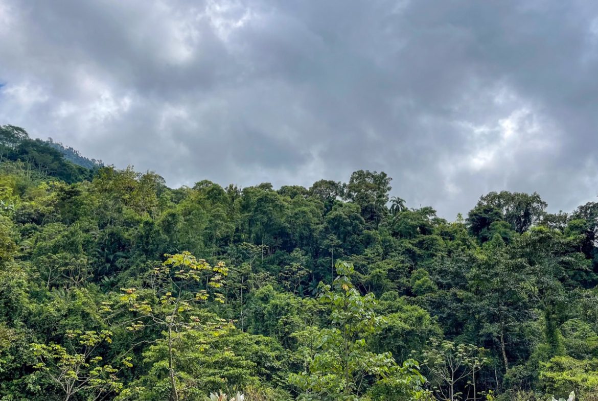BUILDING PROPERTY A STEPS OF THE RIVER WITH MOUNTAINS VIEWS, IN DOS BOCAS – 11 ACRES