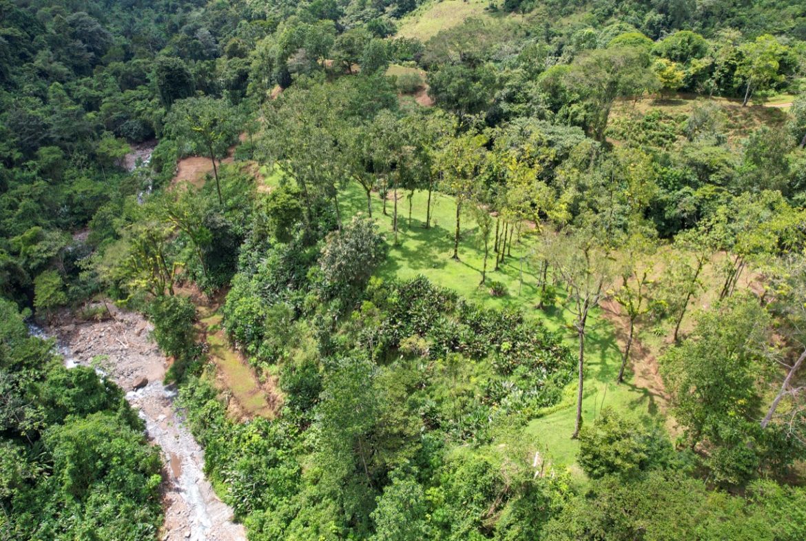 BUILDING PROPERTY A STEPS OF THE RIVER WITH MOUNTAINS VIEWS, IN DOS BOCAS – 11 ACRES