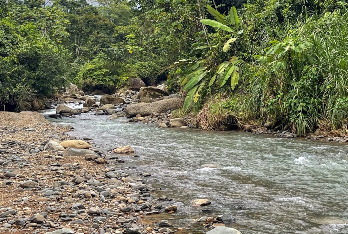 BUILDING PROPERTY A STEPS OF THE RIVER WITH MOUNTAINS VIEWS, IN DOS BOCAS – 11 ACRES