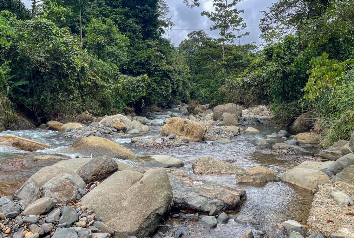 BUILDING PROPERTY A STEPS OF THE RIVER WITH MOUNTAINS VIEWS, IN DOS BOCAS – 11 ACRES