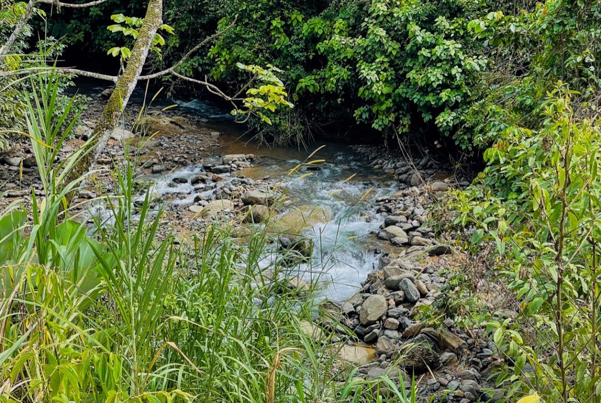 BUILDING PROPERTY A STEPS OF THE RIVER WITH MOUNTAINS VIEWS, IN DOS BOCAS – 11 ACRES